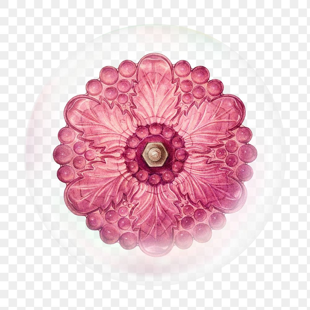 Pink flower png bubble effect, transparent background