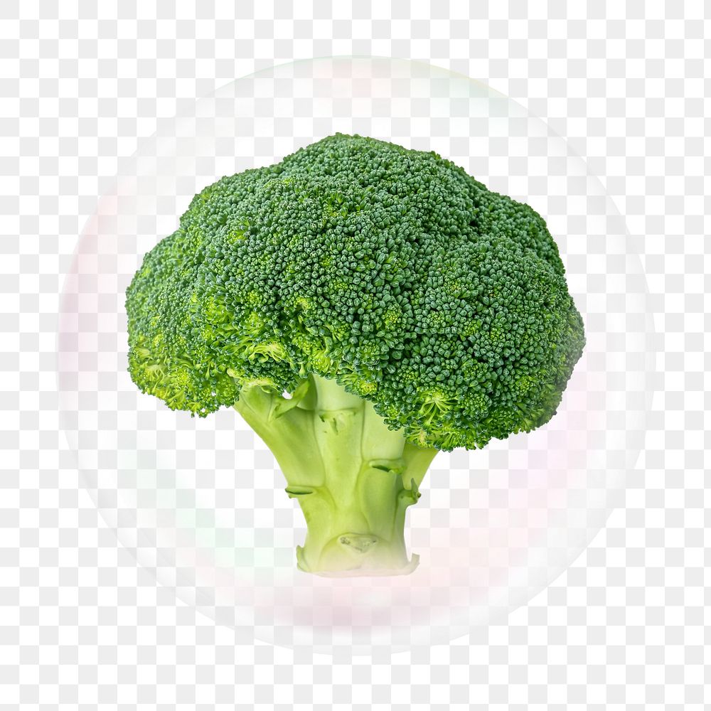 Broccoli png bubble effect, transparent background