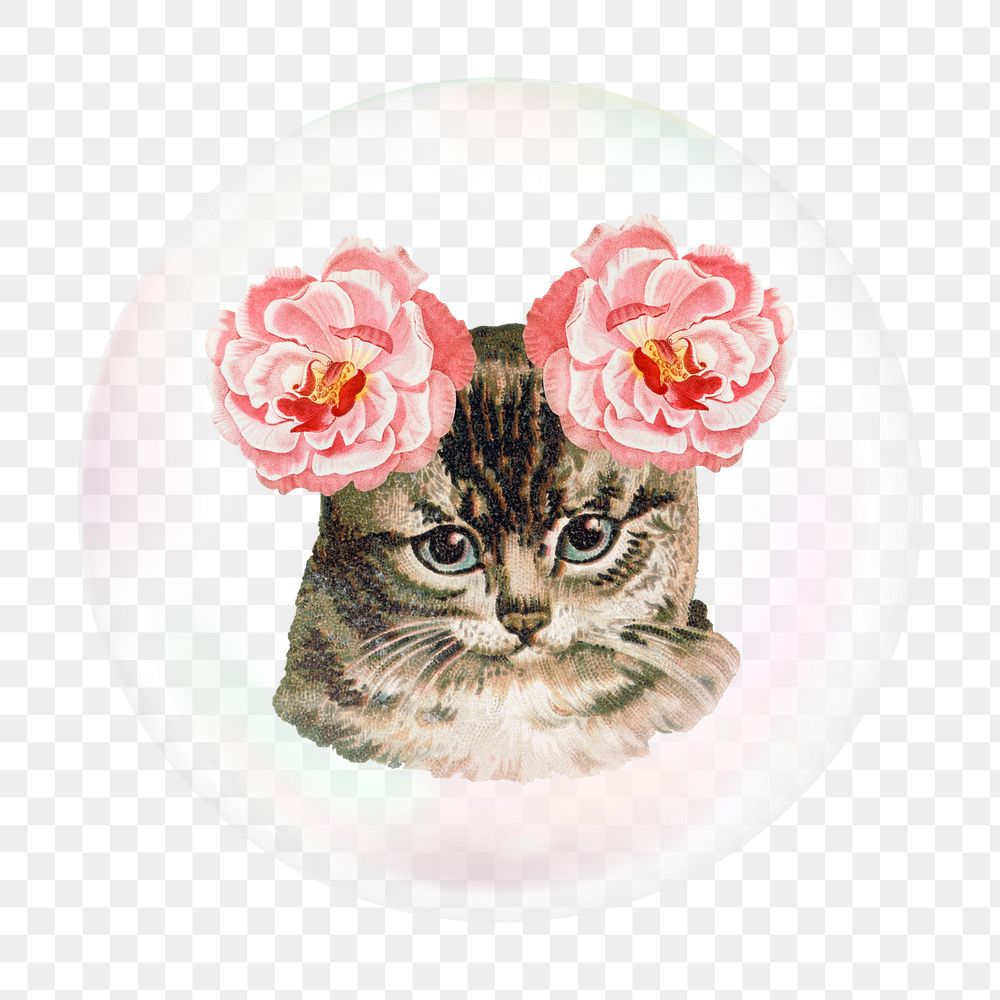 Floral cat png bubble effect, transparent background