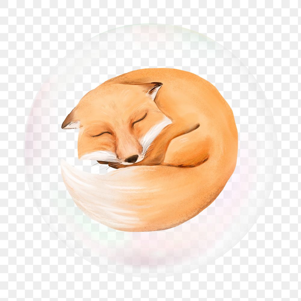 Sleeping fox png bubble effect, transparent background