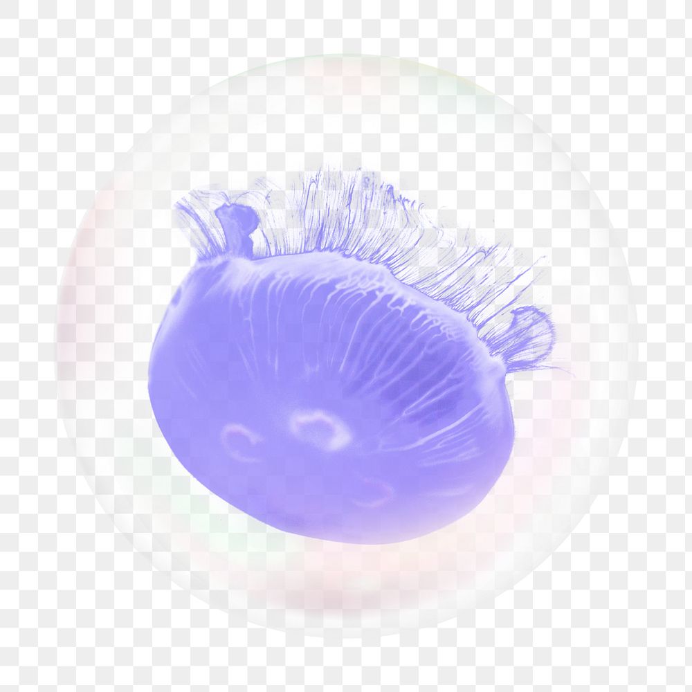 Purple jellyfish png bubble effect, transparent background