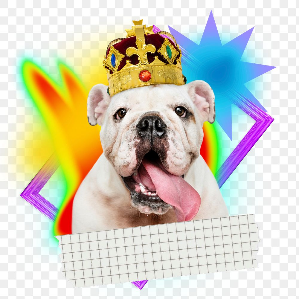 Cute bulldog png element, colorful gradient shape tape, transparent background