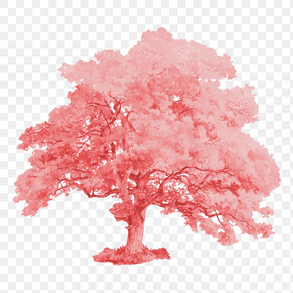 Pink tree png environment, transparent background