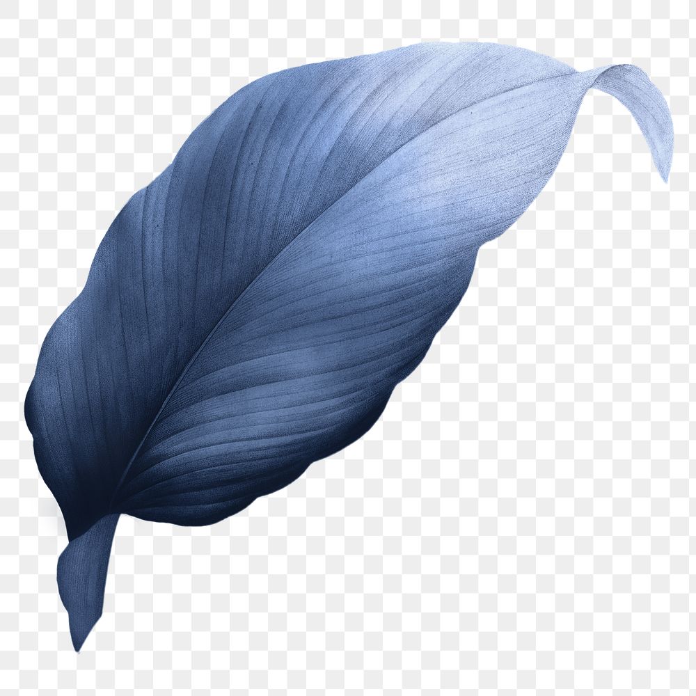 PNG vintage blue leaf, transparent background