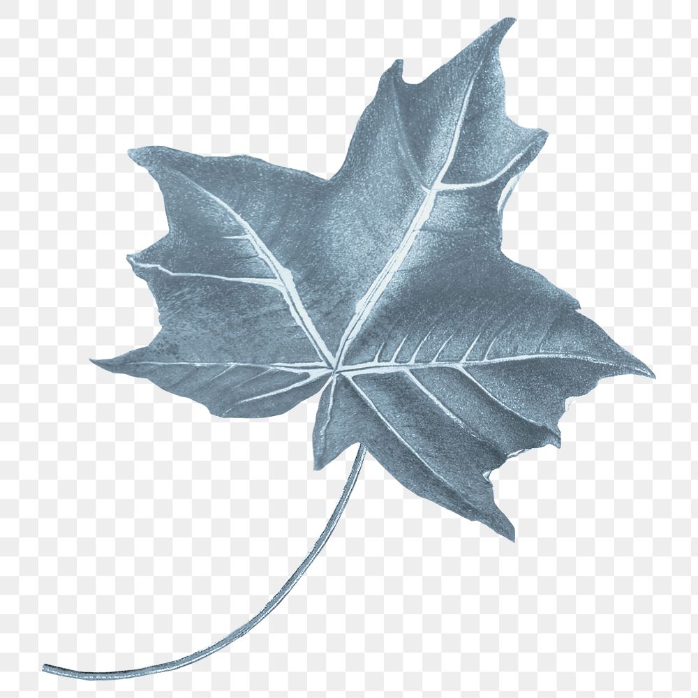 Blue leaf png vintage, transparent background