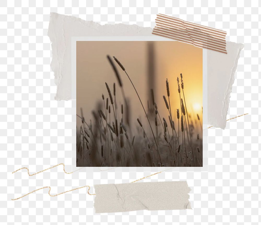 Grass flower png notepaper, transparent background