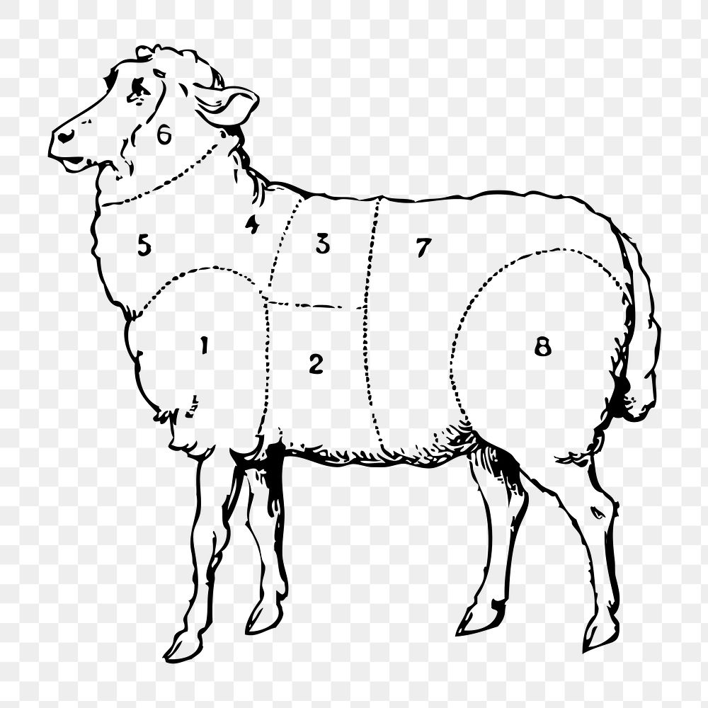 Lamb cuts chart png illustration, transparent background. Free public domain CC0 image.