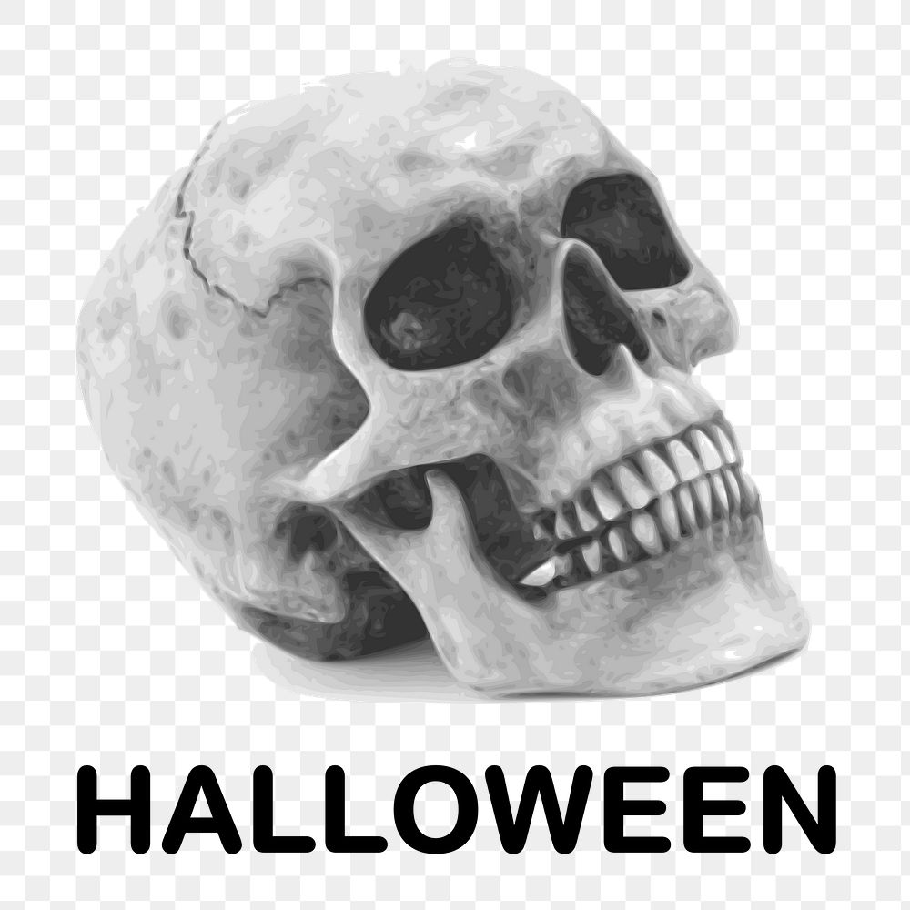 Human skull Halloween png illustration, transparent background. Free public domain CC0 image.