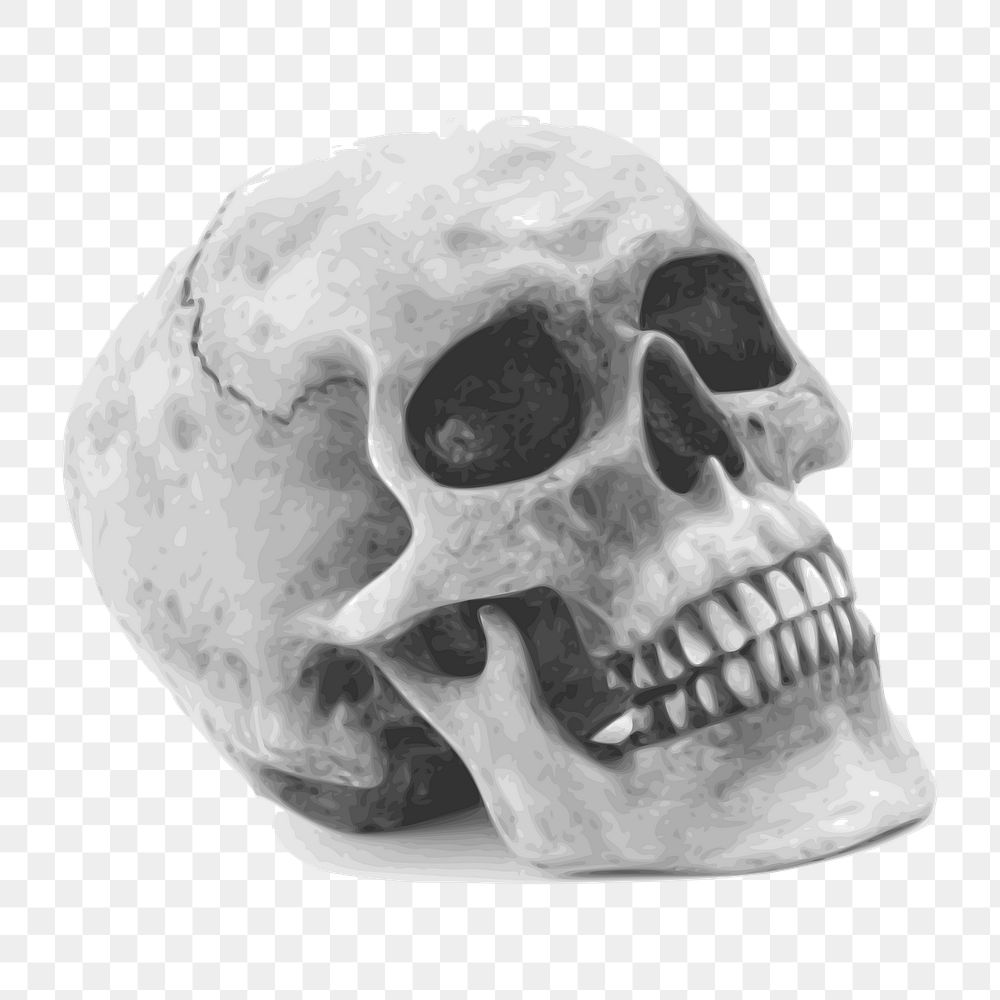 Human skull Halloween png illustration, transparent background. Free public domain CC0 image.