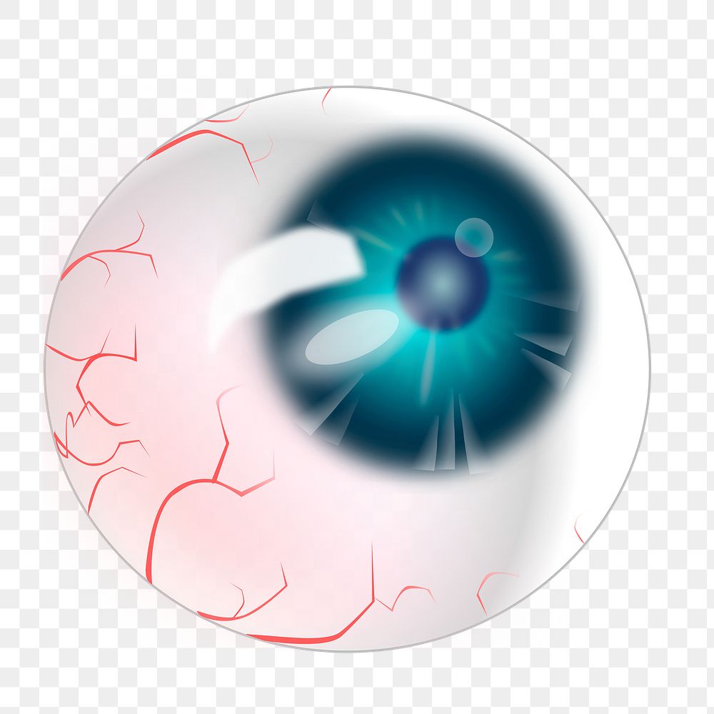 Eyeball png illustration, transparent background. Free public domain CC0 image.