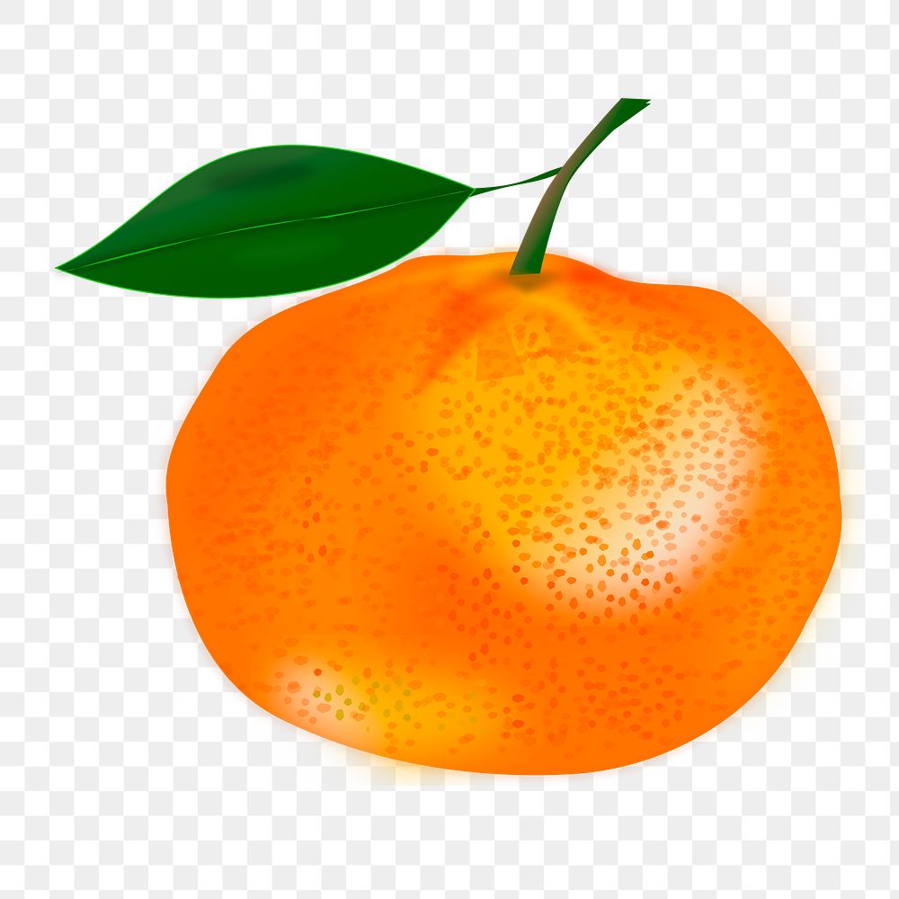 Orange png illustration, transparent background. Free public domain CC0 image.