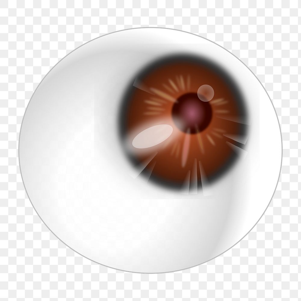 Eyeball png illustration, transparent background. Free public domain CC0 image.