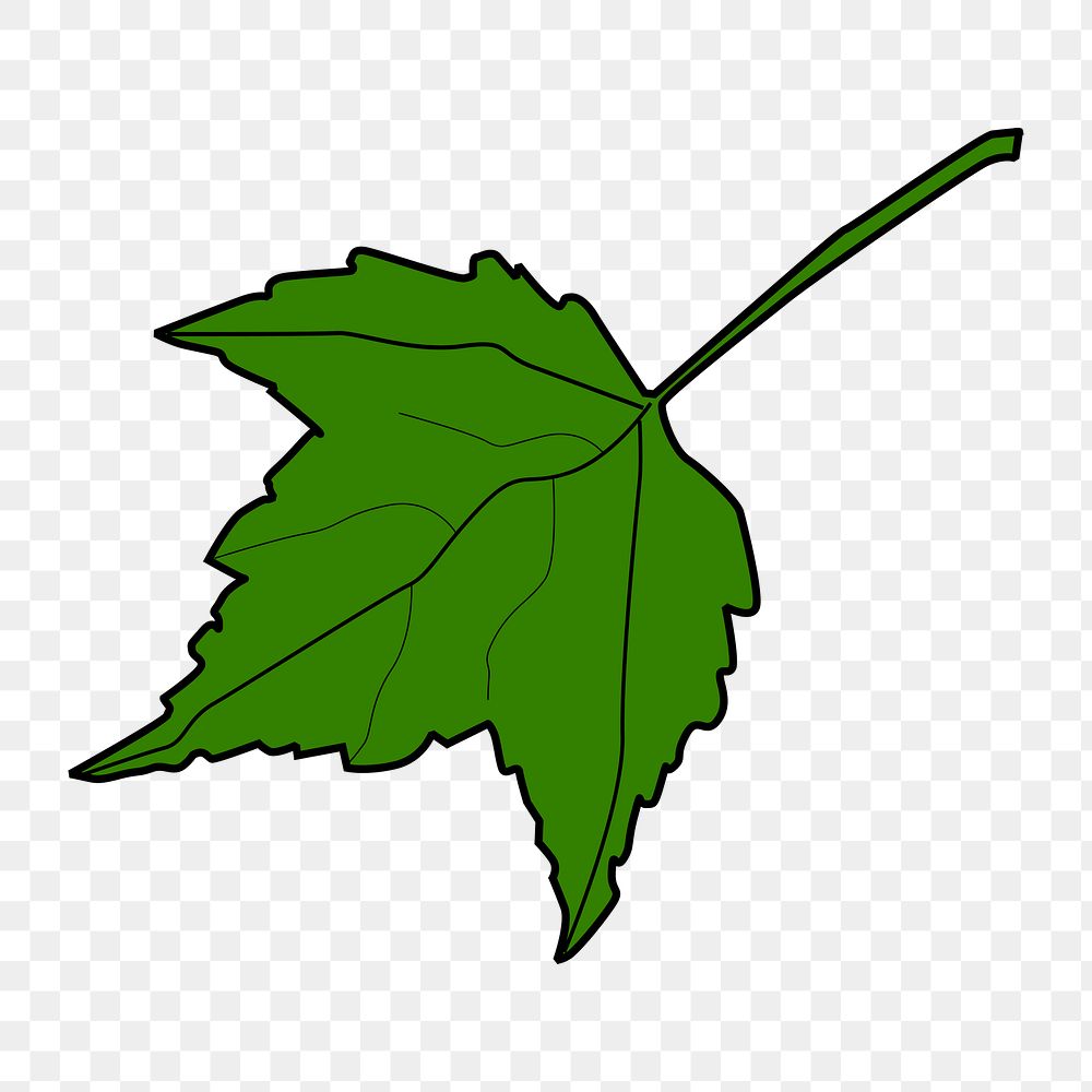 Maple leaf png illustration, transparent background. Free public domain CC0 image.