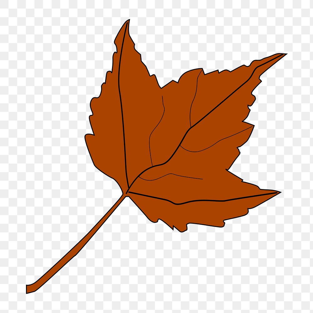 Autumn maple leaf png illustration, transparent background. Free public domain CC0 image.