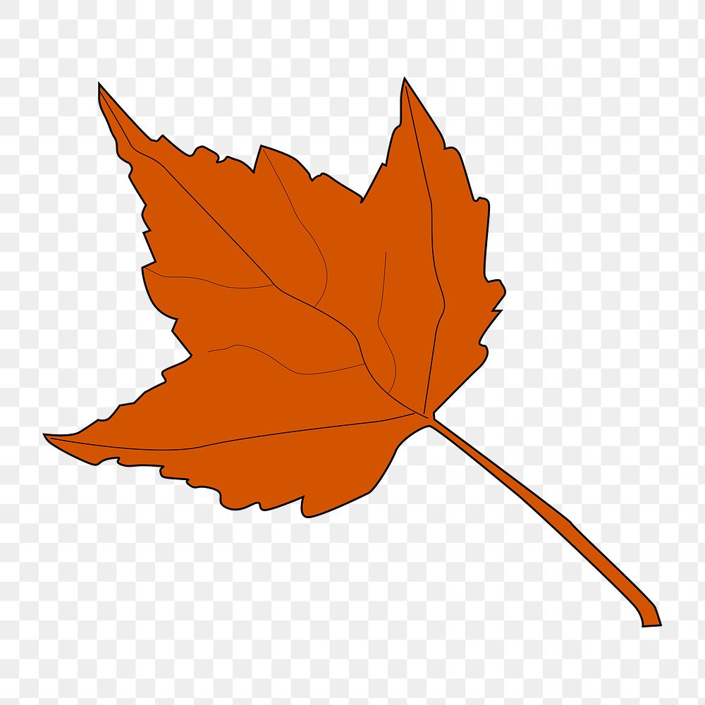 Autumn maple leaf png illustration, transparent background. Free public domain CC0 image.