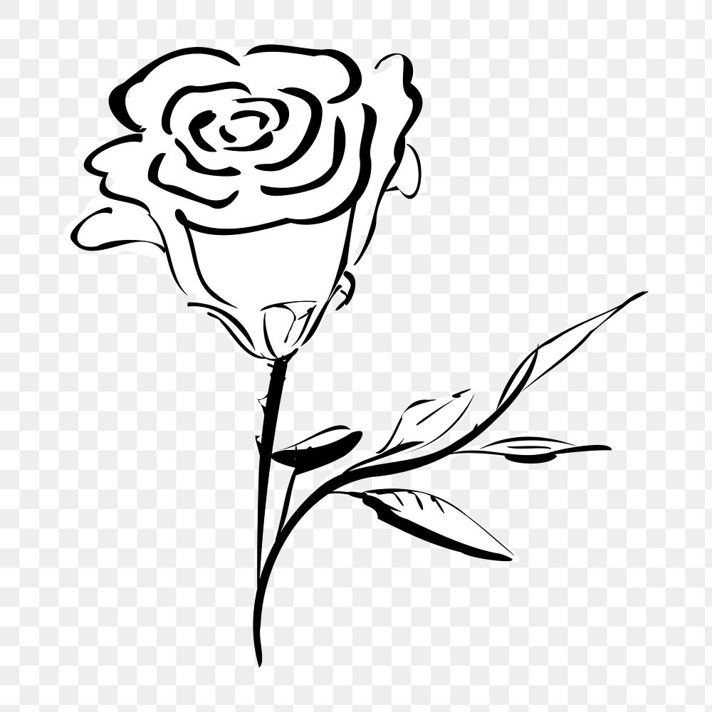 Rose png illustration, transparent background. Free public domain CC0 image.