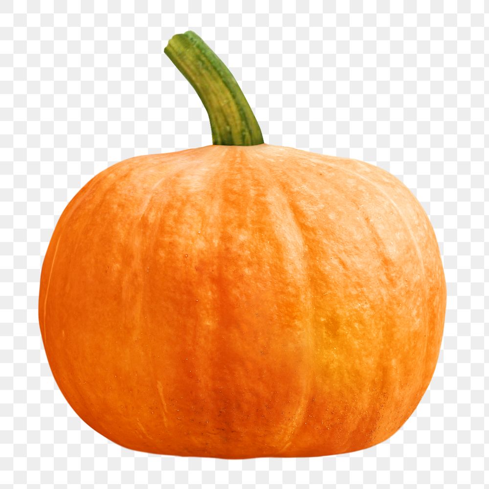 Farm orange pumpkin png, transparent background