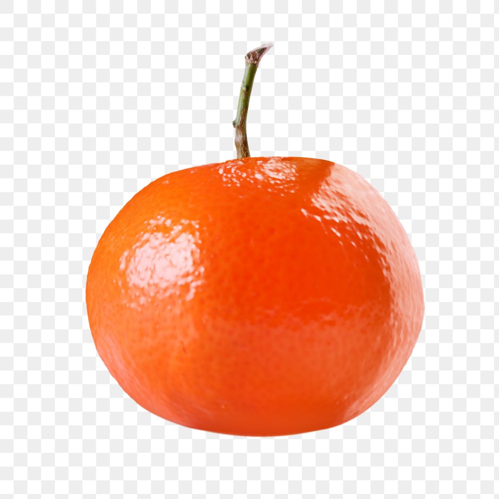 Png orange, transparent background