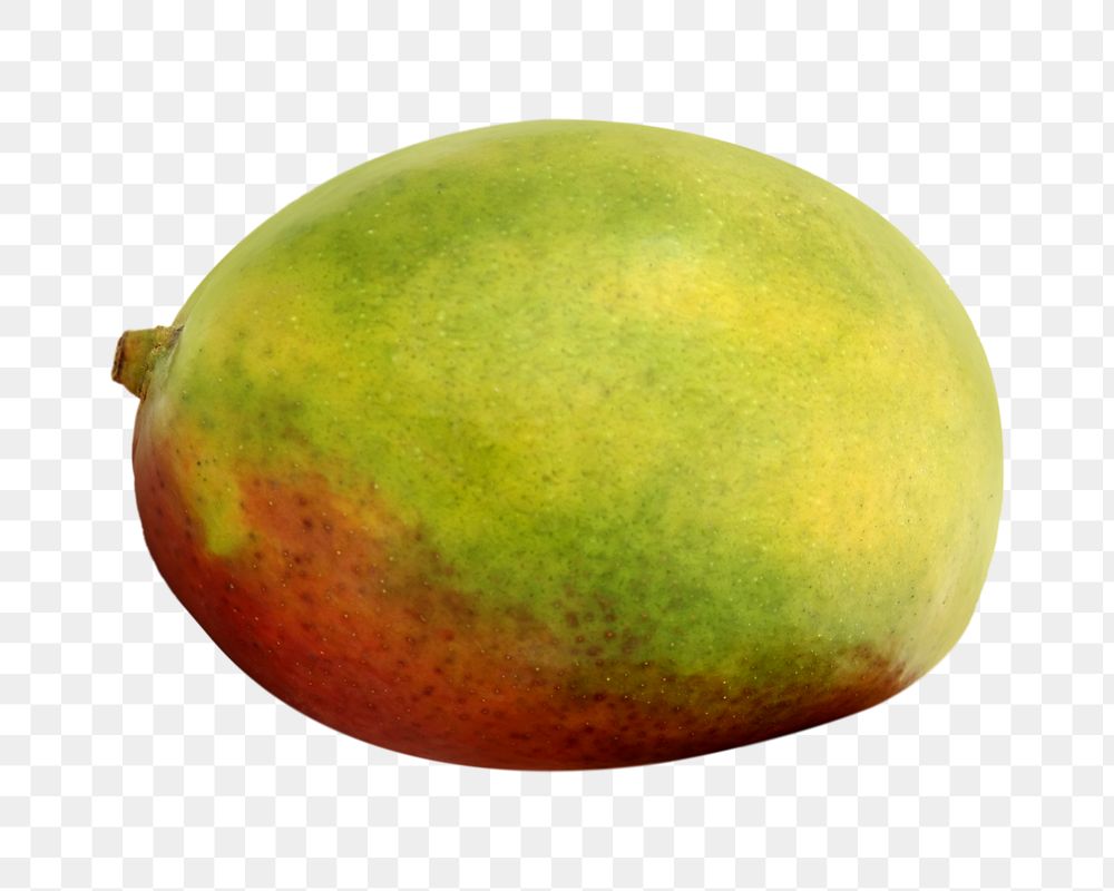 Png mango, transparent background
