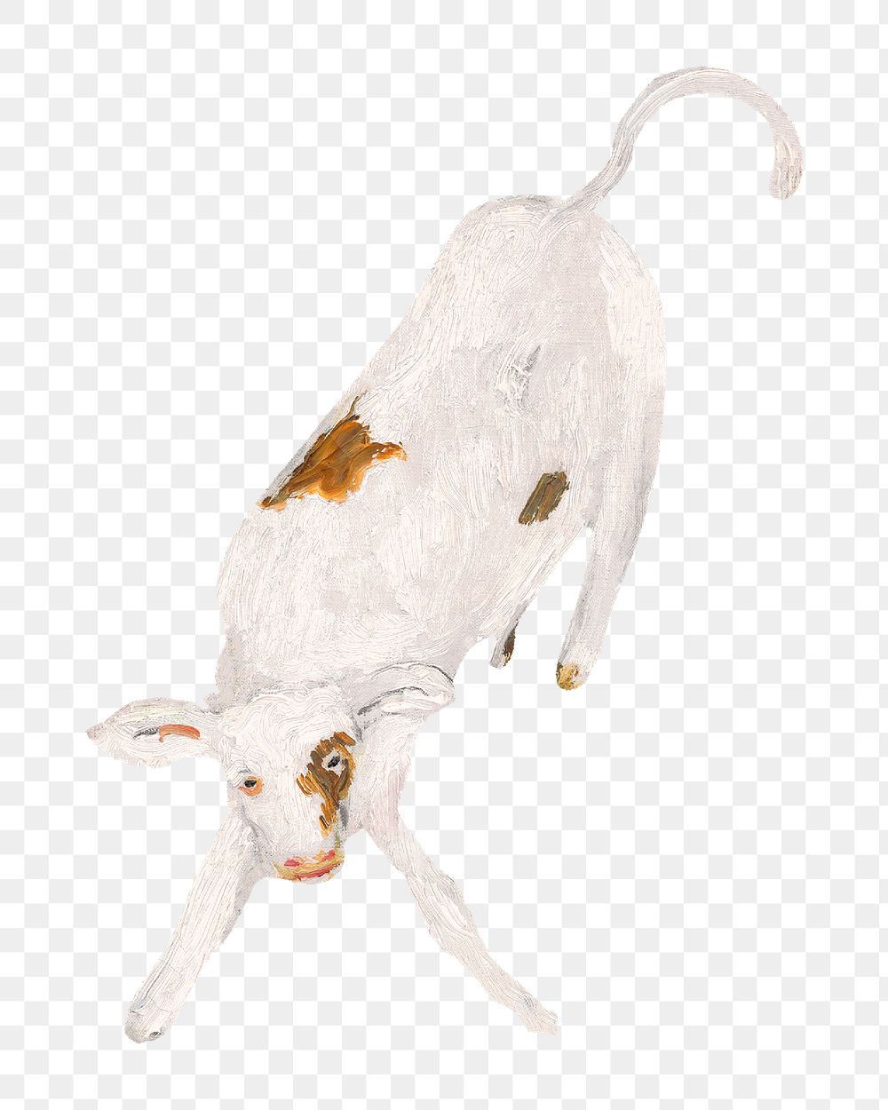 Calf png baby cow, animal illustration by Cyprian Majernik on transparent background. Remixed by rawpixel.