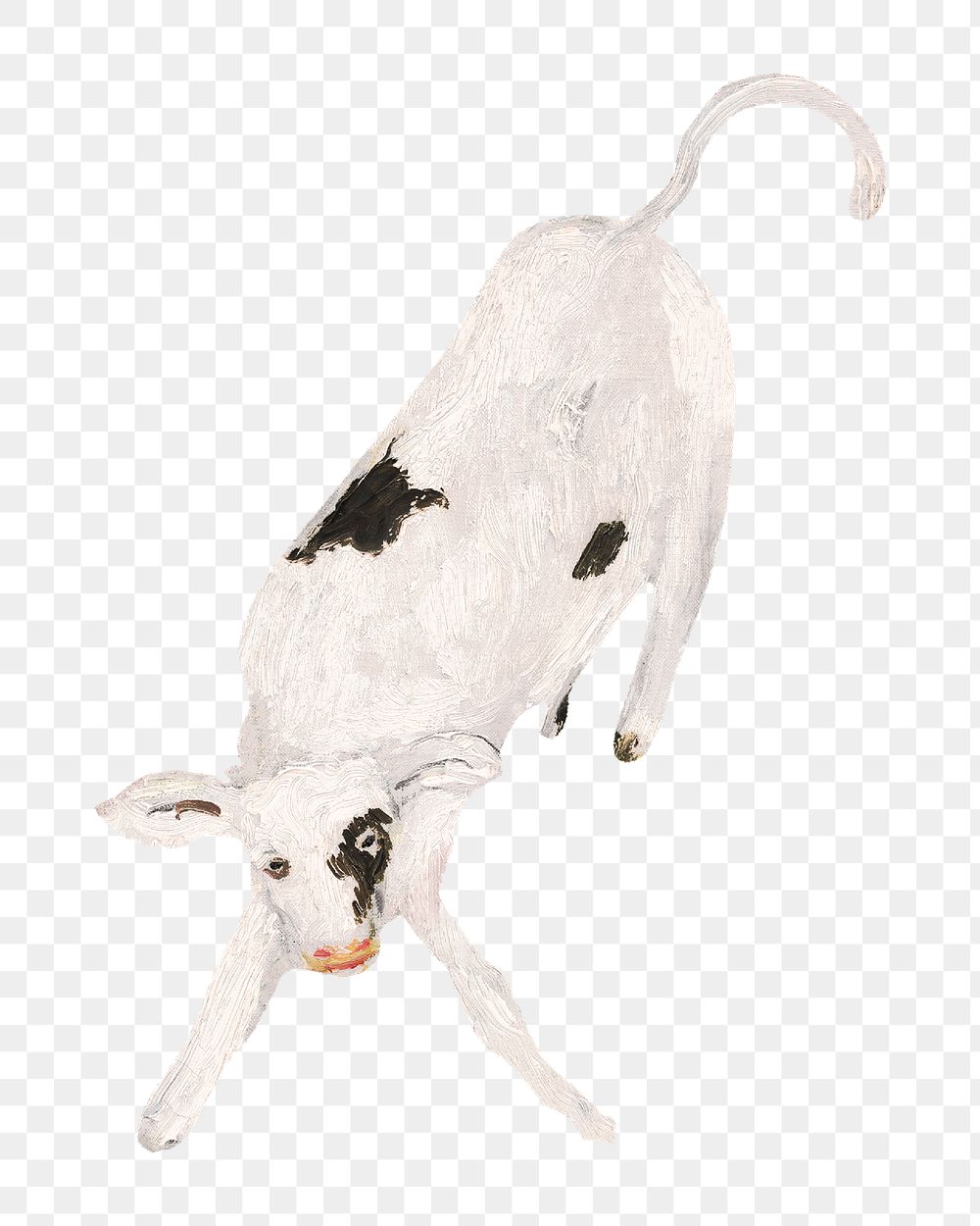 Calf png baby cow, animal illustration by Cyprian Majernik on transparent background. Remixed by rawpixel.