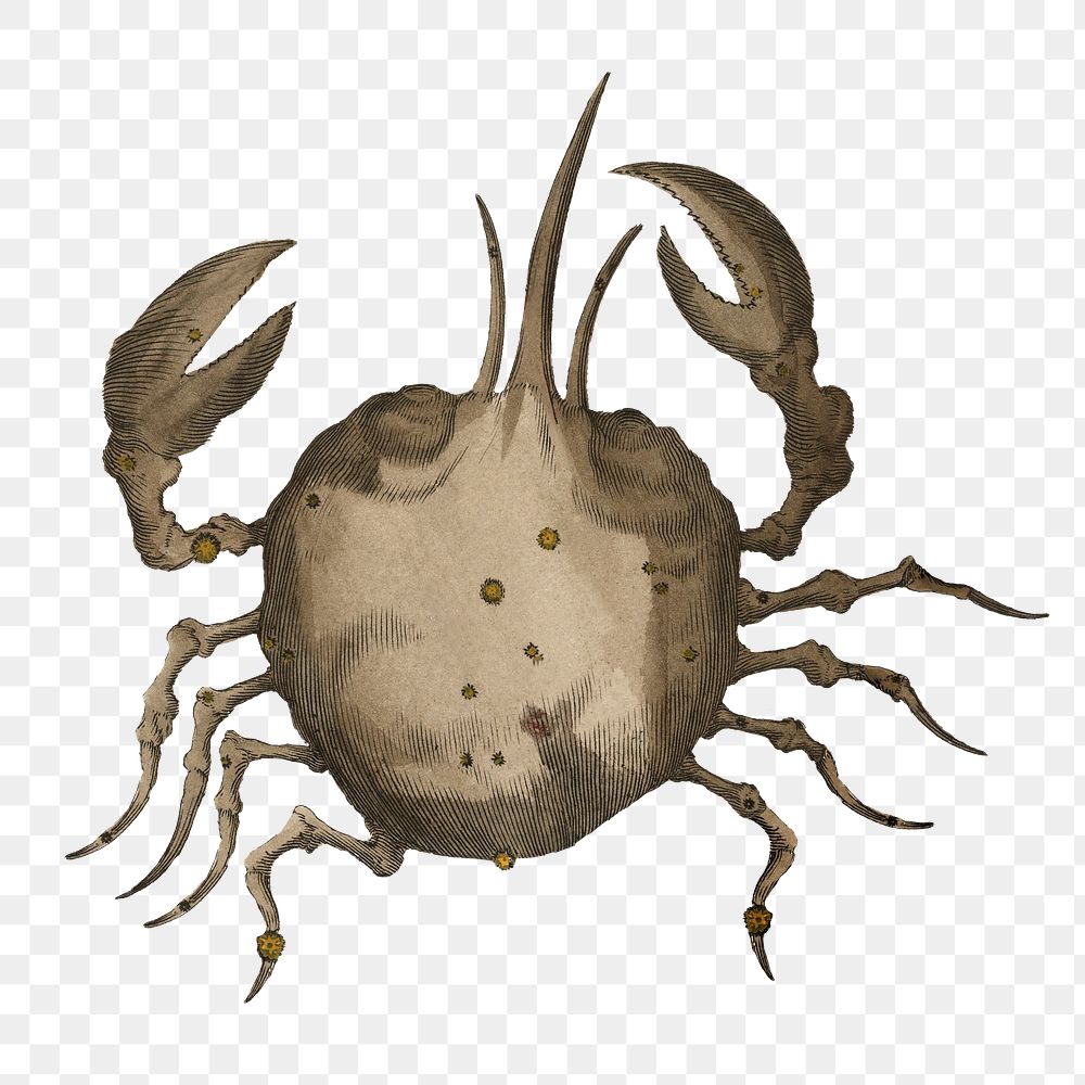 Cancer crab png, astrology animal illustration by Ignace Gaston Pardies on transparent background. Remixed by rawpixel.