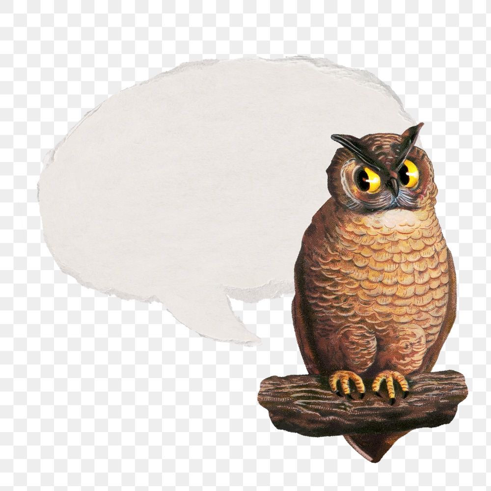 Owl png speech bubble sticker, transparent background. Remixed by rawpixel.