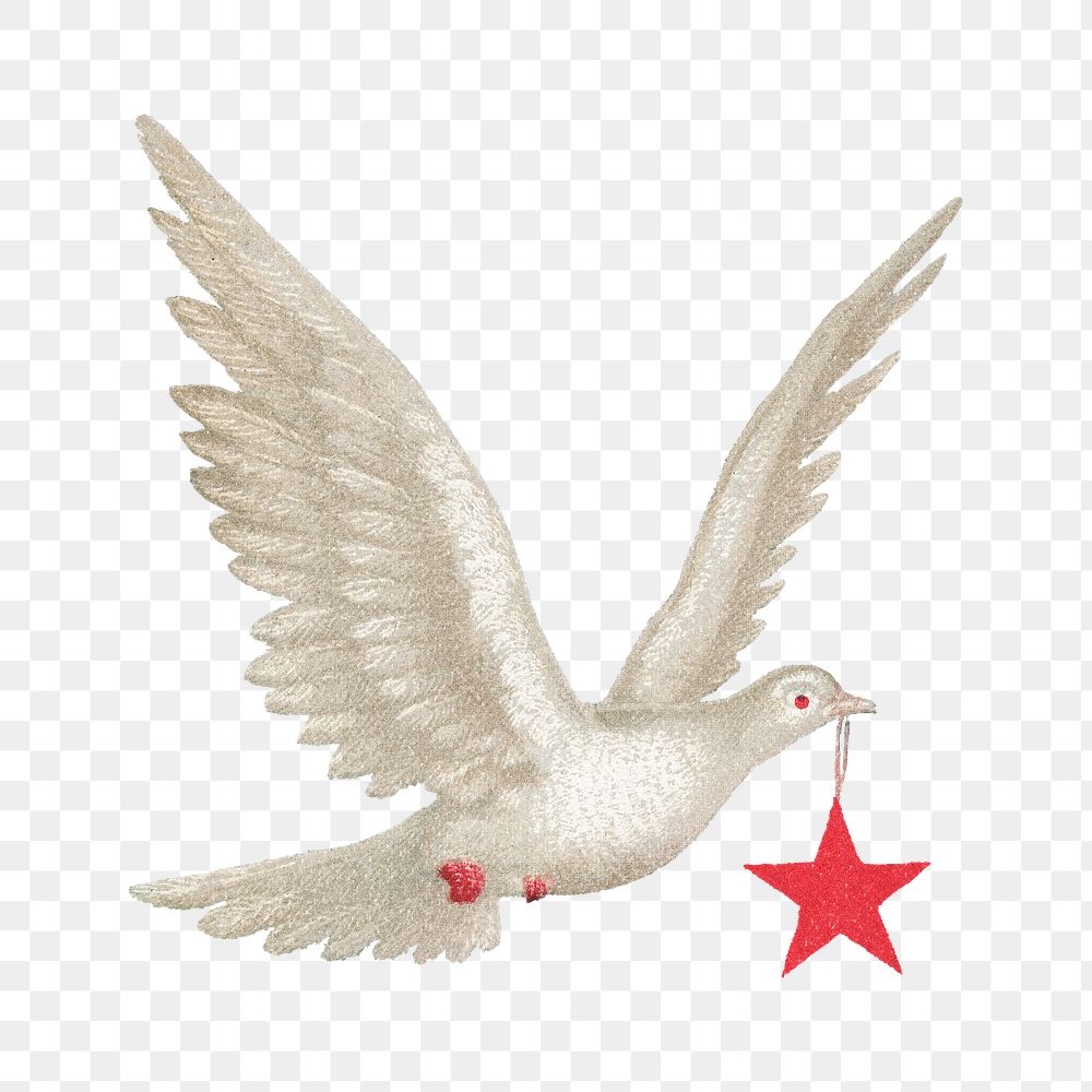 Flying dove with star png, bird illustration, transparent background. Remixed by rawpixel.