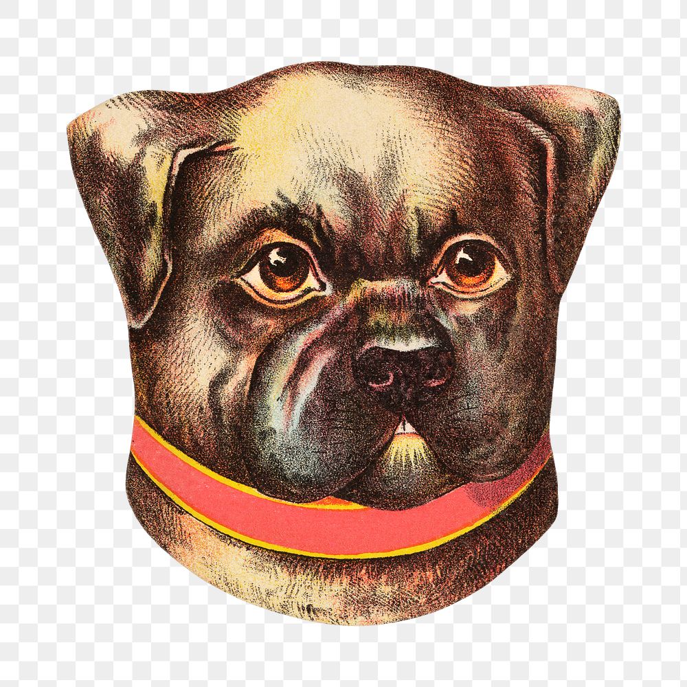 Colburn's Phila png. Mustard, vintage dog illustration, transparent background. Remixed by rawpixel.