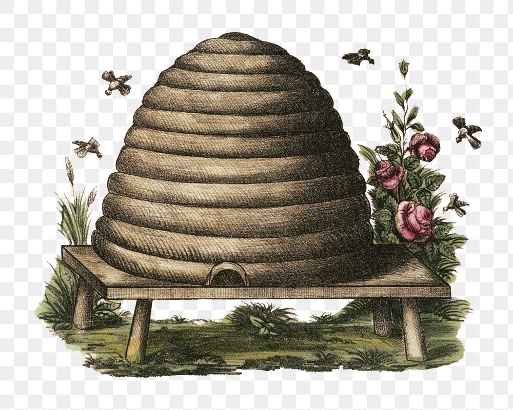 Vintage beehive png illustration on transparent background. Remixed by rawpixel.