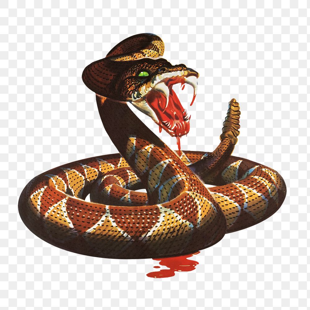 Vintage rattlesnake png, transparent background. Remixed by rawpixel.
