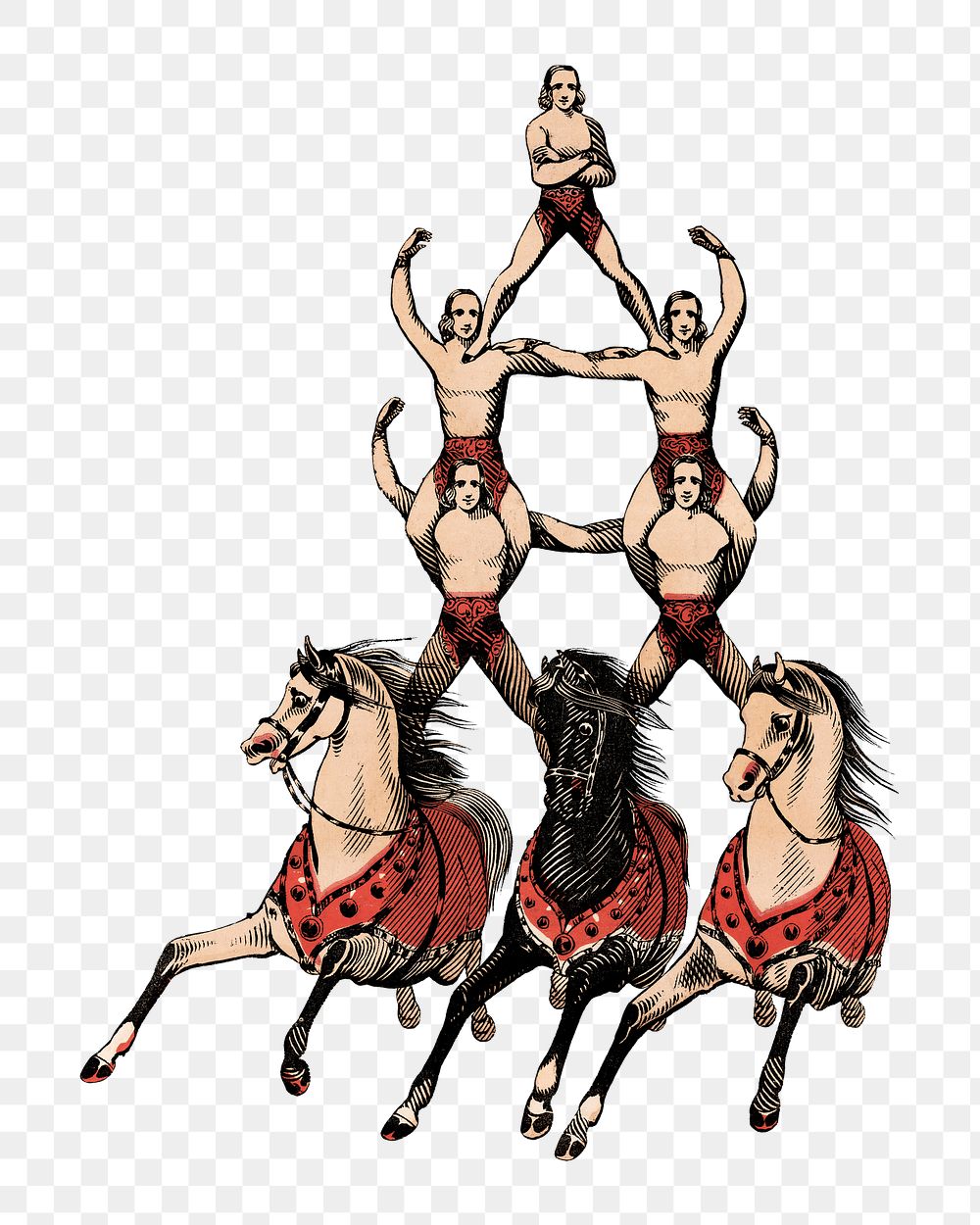 PNG vintage acrobats on three horses, transparent background. Remixed by rawpixel. 