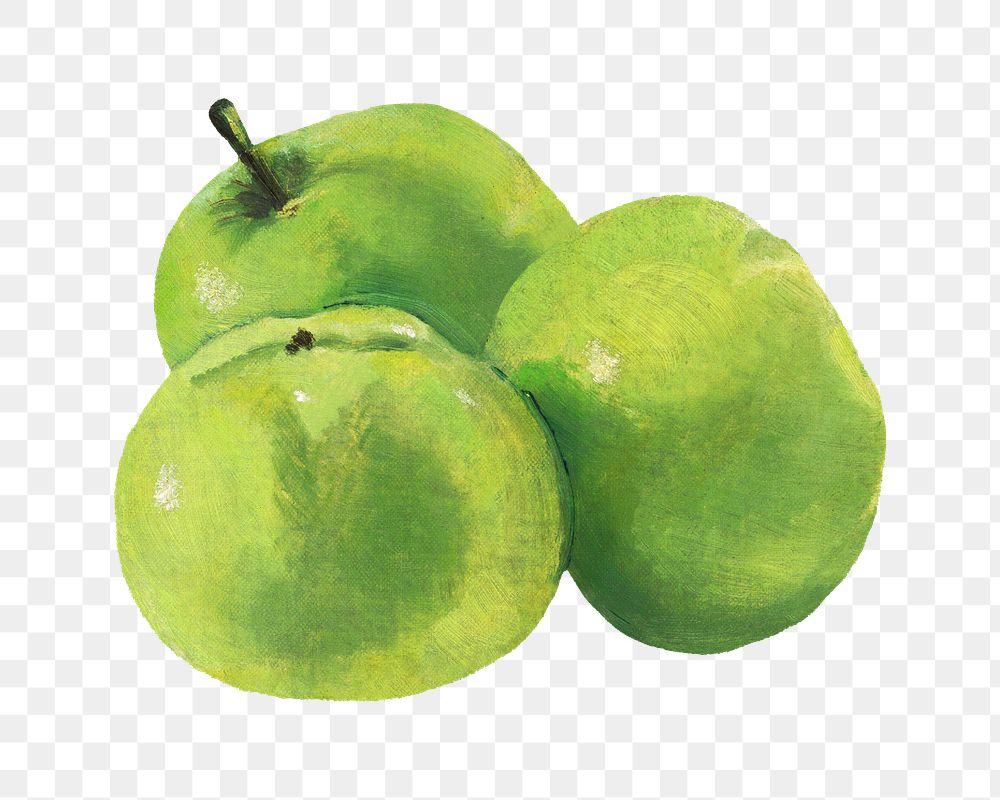 Green apples png fruit, transparent background. Remixed by rawpixel. 