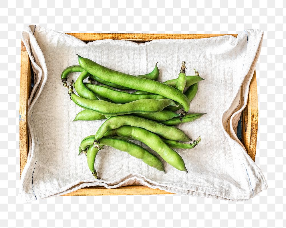 Board beans png collage element on transparent background