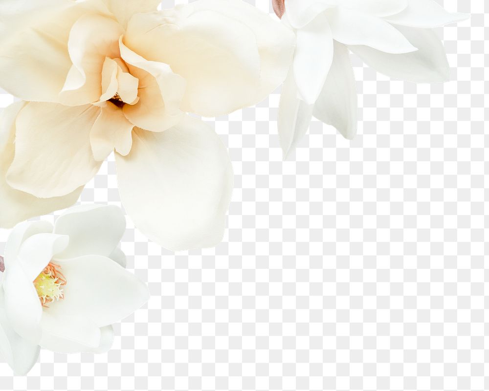 White flower border png element, transparent background