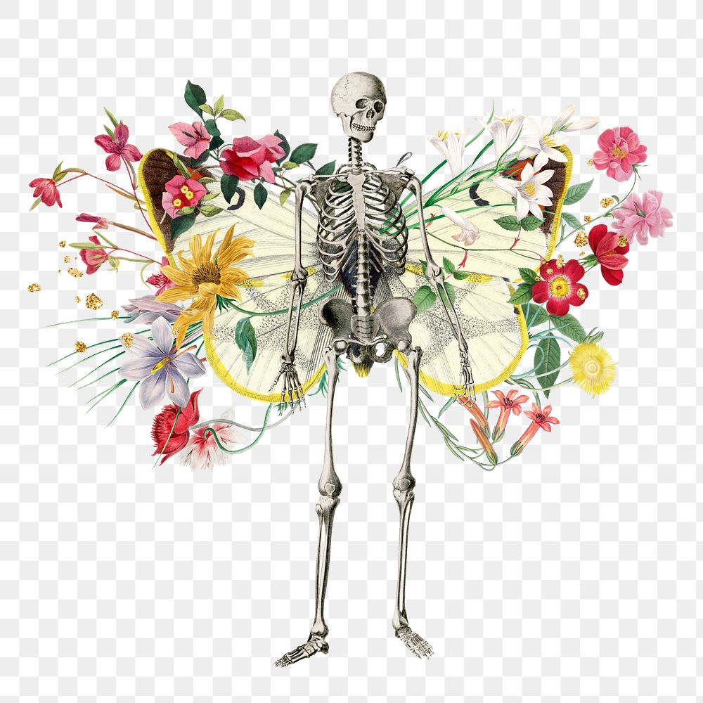 Floral skeleton png sticker, mixed media transparent background