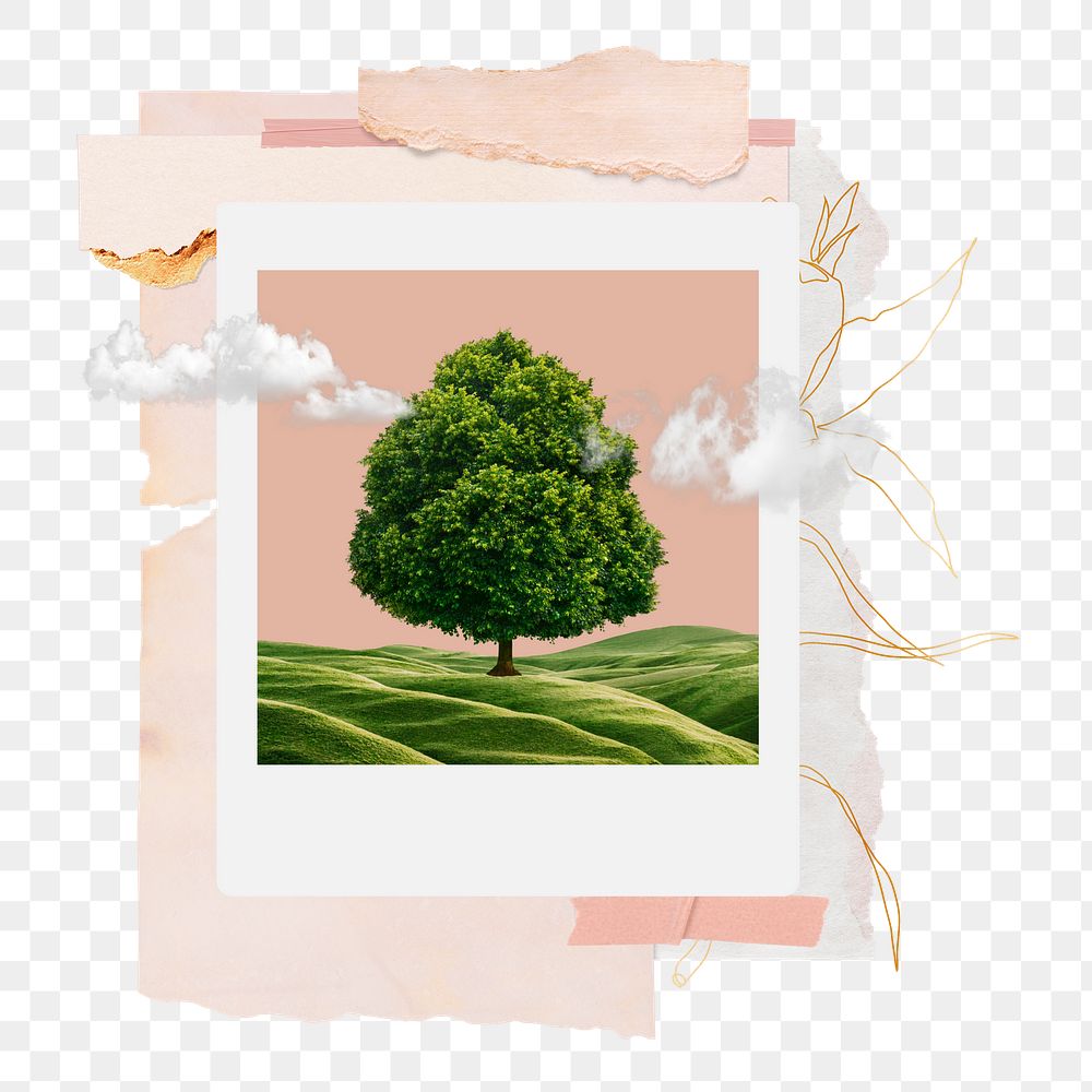 Tree instant photo png sticker, transparent background