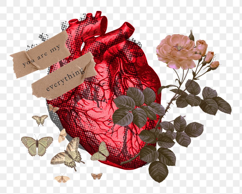 Human heart love png sticker, transparent background