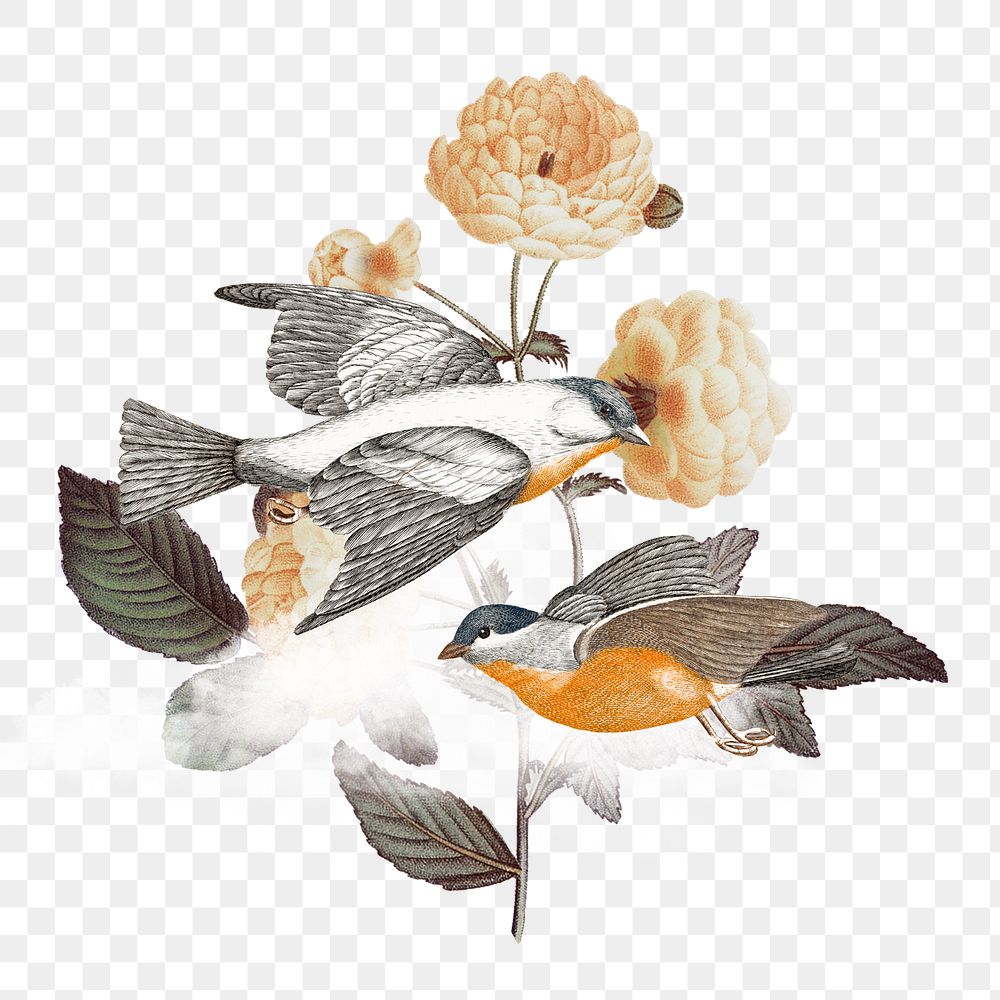 Vintage floral birds png sticker, transparent background