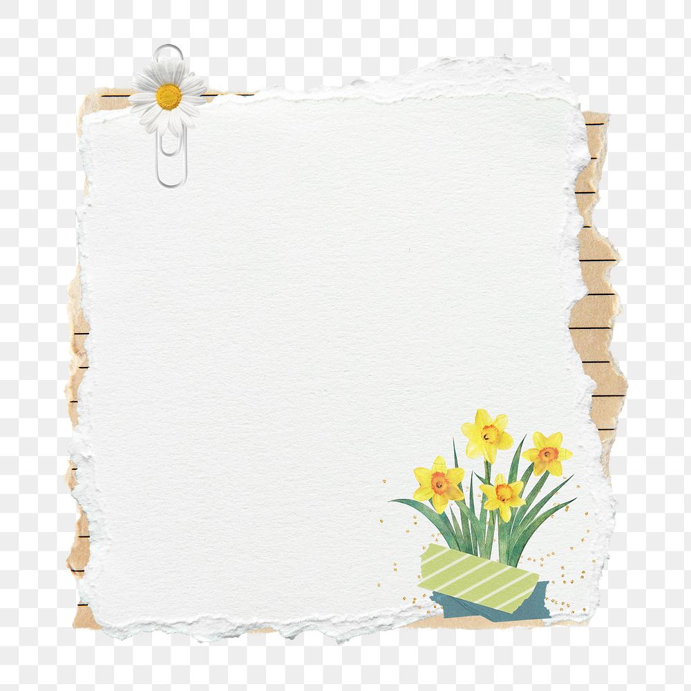 Blank notepaper png Easter daffodil flower journal sticker, transparent background