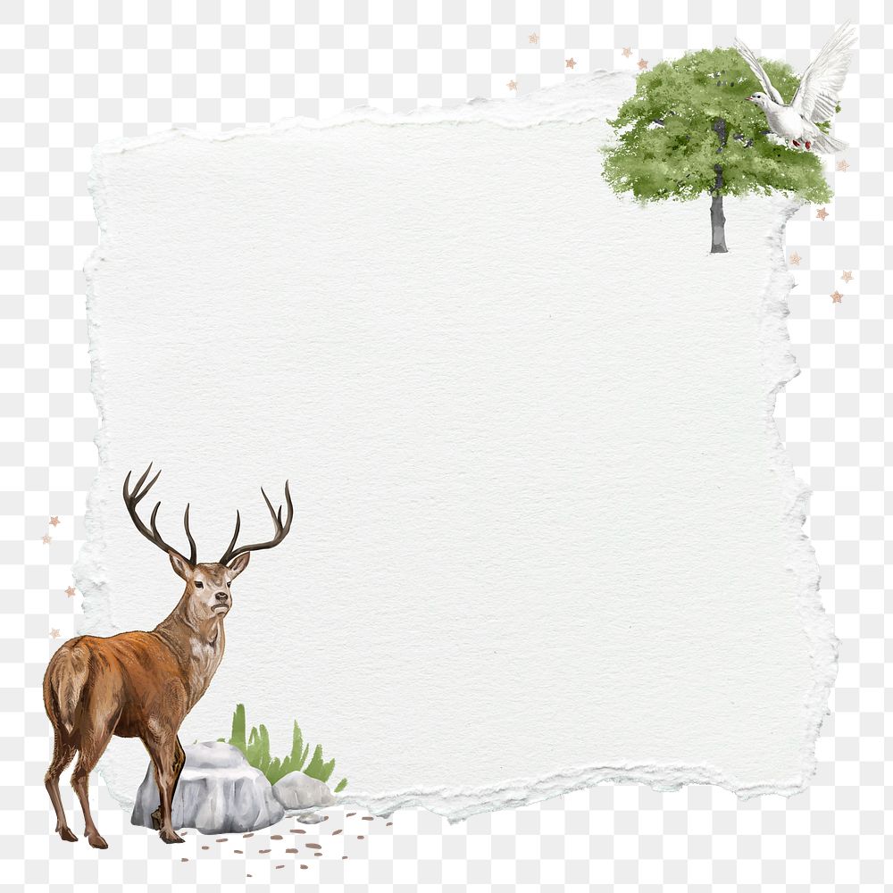 Ripped paper png sticker, stag deer wildlife illustration, transparent background