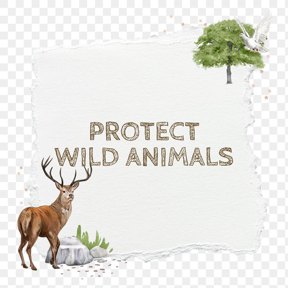 Protect wild animals png sticker, ripped paper collage, transparent background