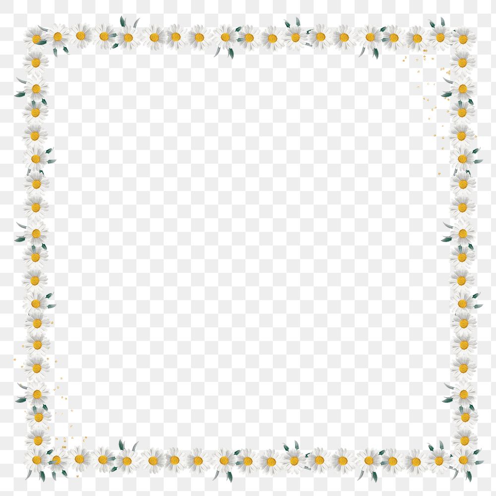 Floral frame png white daisy sticker, transparent background