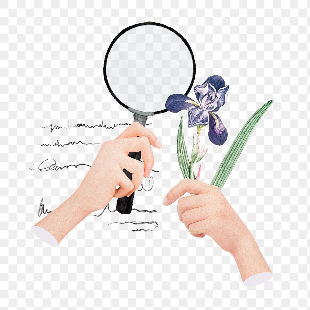 Botanical studies png sticker, creative education paper collage on transparent background