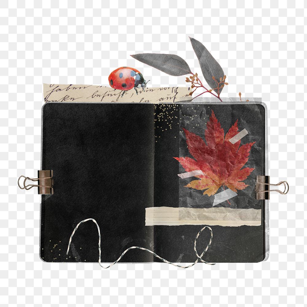 Autumn journal png sticker, maple leaf aesthetic collage, transparent background