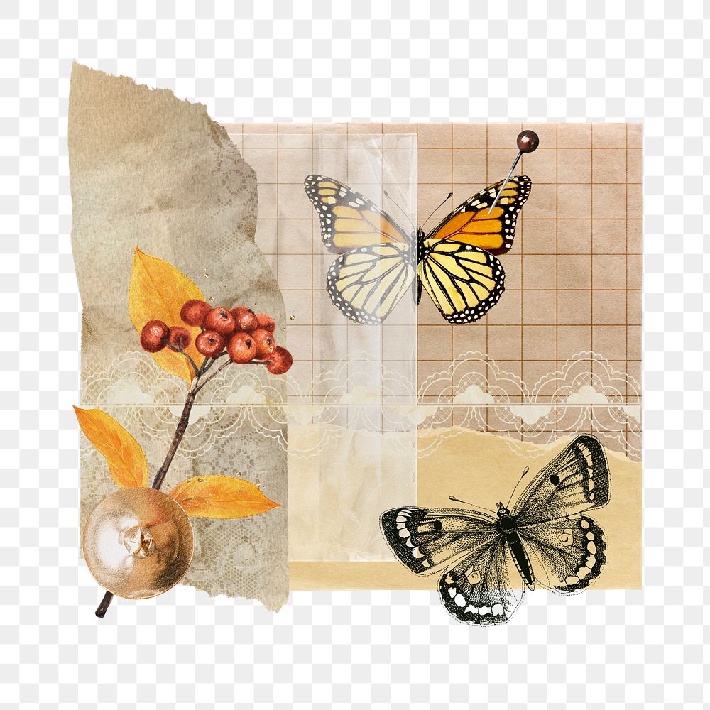 Autumn butterfly png sticker, aesthetic paper collage, transparent background