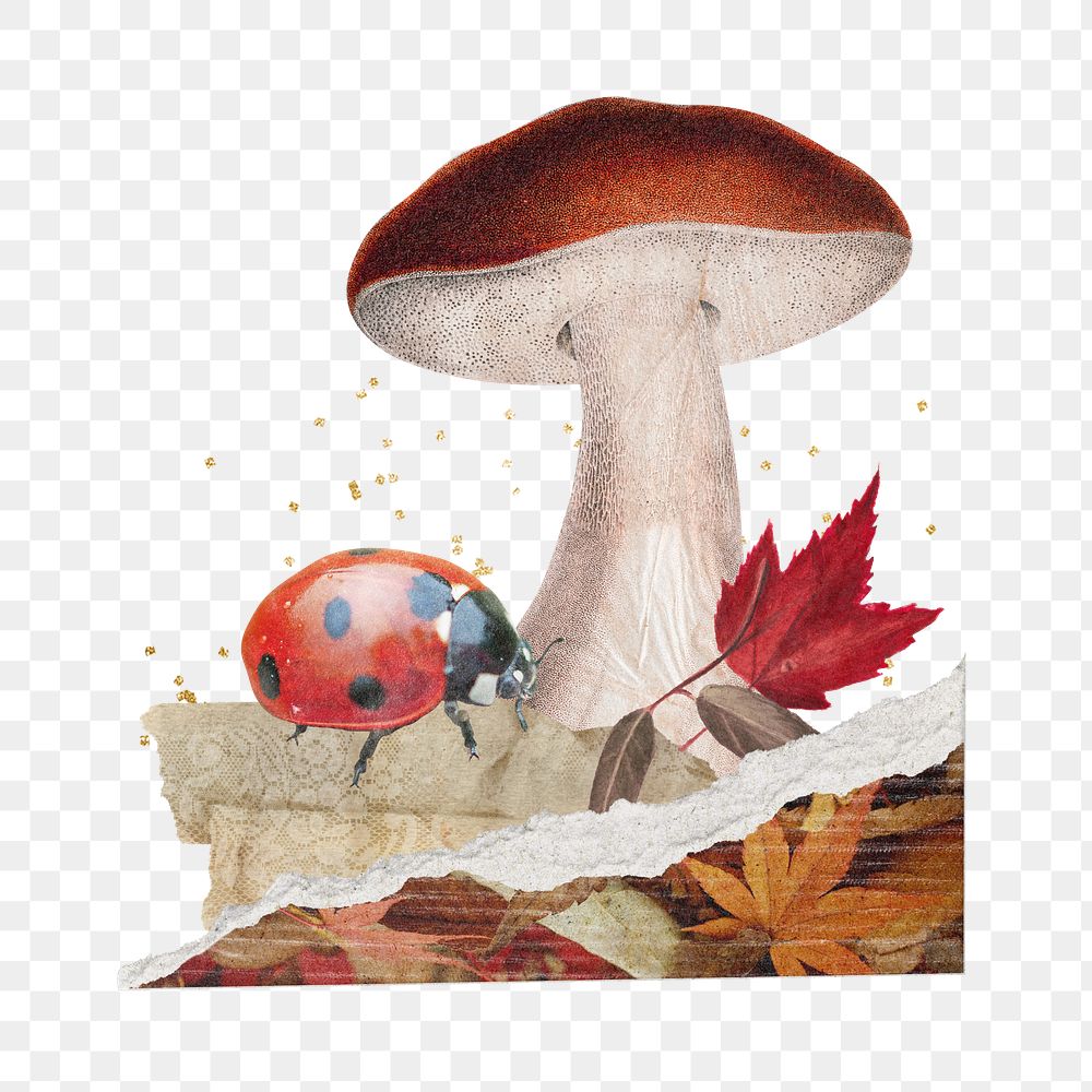 Autumn mushroom png sticker, transparent background