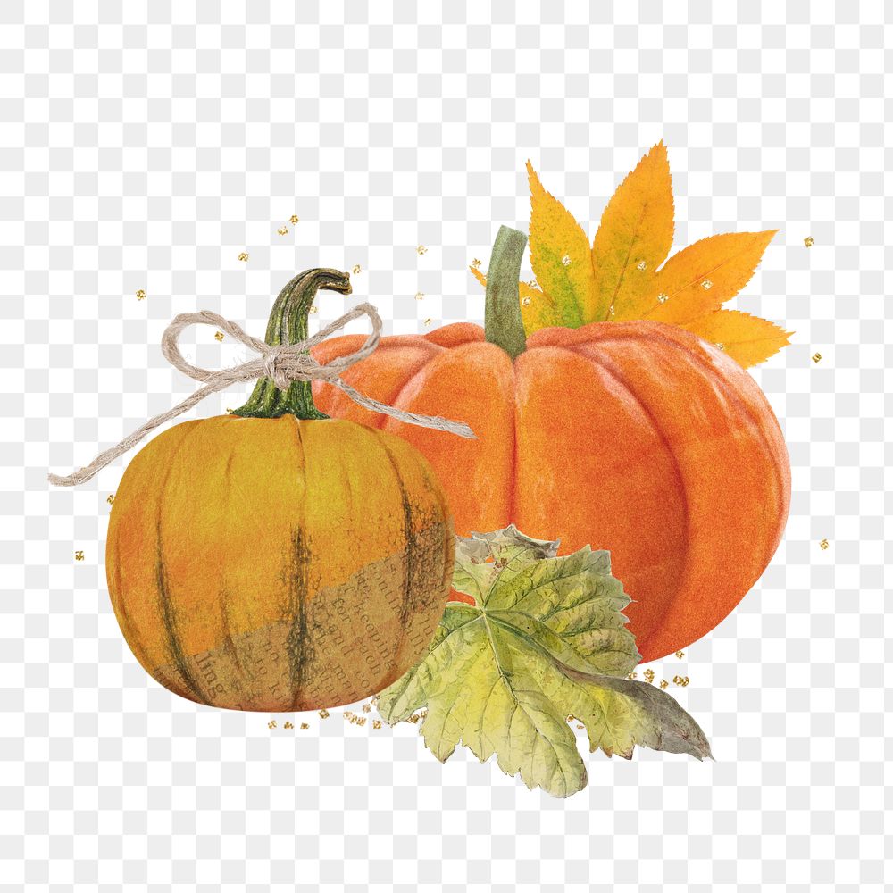 Aesthetic Autumn pumpkin png sticker, botanical collage, transparent background