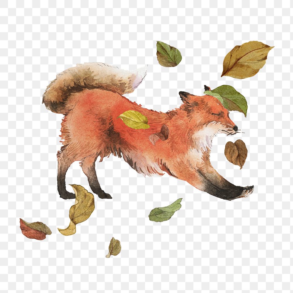 Autumn red fox png sticker, wild animal with falling leaves, transparent background
