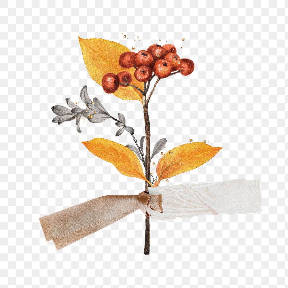 Autumn leaf branch  png sticker, transparent background